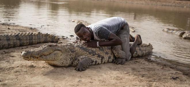 Infos congo - Actualités Congo - mediacongo